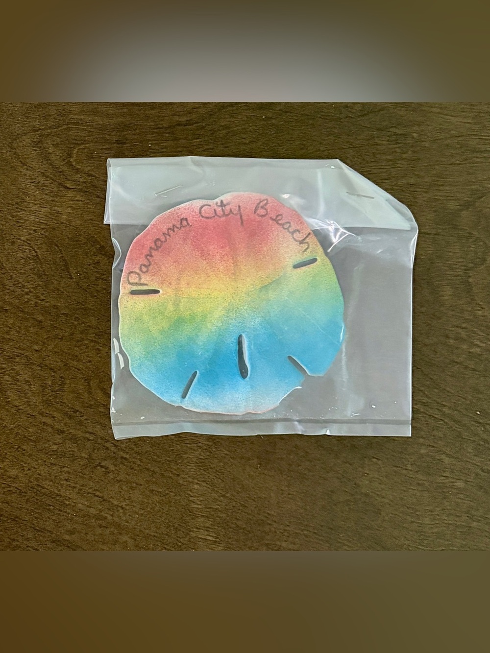 hand-painted rainbow watercolor souvenir sand dollar Panama City Beach Florida